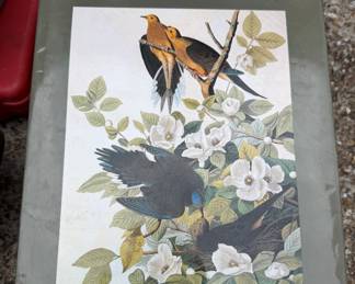 Audubon coffee table book
