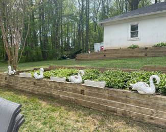 White Ceramic Swan Planters
