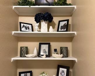 This Lot Is For The Birds