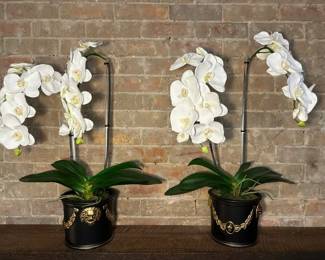 Faux White Phalaenopsis Orchids