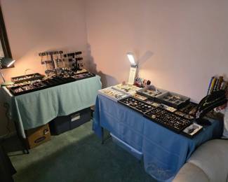 Lots of costume Jewelry!
