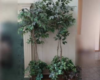 Faux Ficus Trees