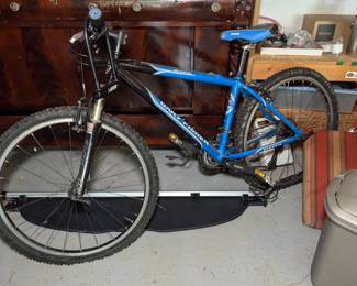 Gary Fisher Big Sur Bike