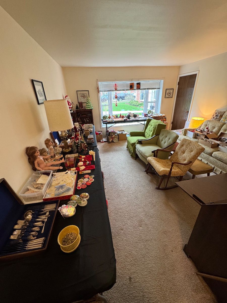 view from the doorway entering the apartment