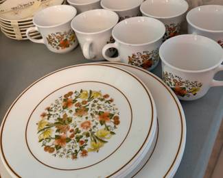 	#37		Corning Corelle “Indian Summer” dish set, incomplete. 23 pieces total including 5 dinner plates, 4 salad plates, 5 saucers, and 8 coffee cups.	 $ 45.00 																							