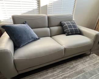 Grey sofa. Have 2 matching sofas, exactly the same $300 each