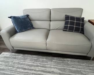 Grey sofa. Have 2 matching sofas, exactly the same $300 each