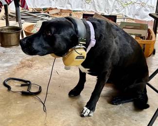 And the Beat Goes On...