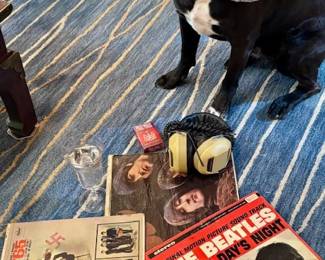 Pepper Has Had A Hard Days Night!