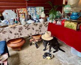 Pepper is Down With It...