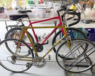 Trek + Gitane bicycles; Hitch-mounted bike carrier; Feedback Sports bike stand 