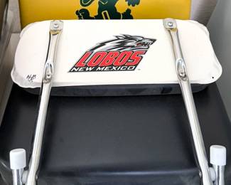 Stadium seats