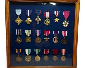 US Military Medal Shadow Box Purple Heart, Distinguished Service  More