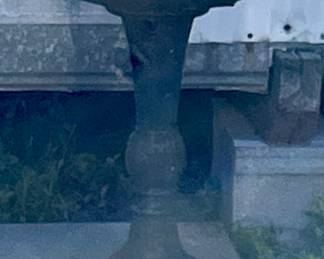 FOUNTAIN/BIRDBATH