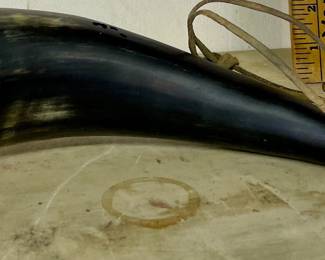 STEER HORN