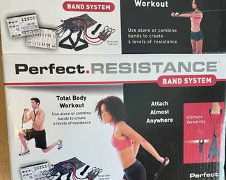 RESISTANCE BAND SYSTEM