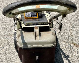 NEUTON BATTERY TRIM MOWER