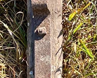 Antique Wagon Tongue
