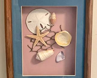 FRAMED SHELLS