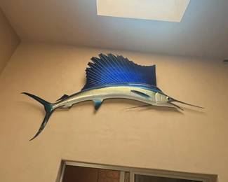 Sailfish