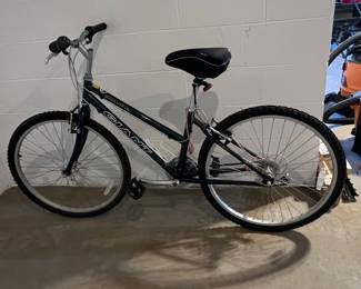 Giant Rincon Mountain Bike