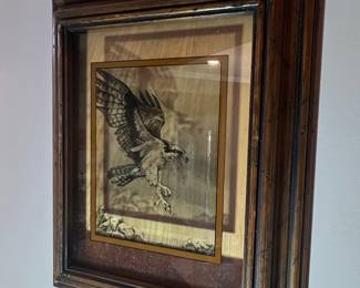 Framed Osprey Print