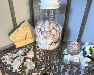 Seashell Display Jar and Fossil Fragment