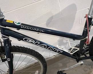 Giant Rincon Mountain Bike