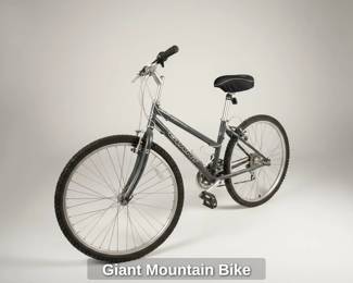 Giant Mountain Bike