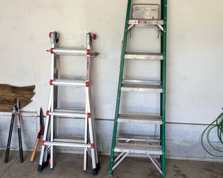 Little Giant Multi-Position Ladder and Davidson Step Ladder
