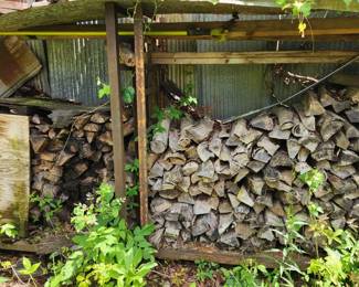 Firewood Stacked Logs