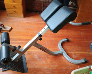 Lot 155: Valor Back Extension Machine 