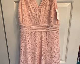 Francescas Pink Lace Dress