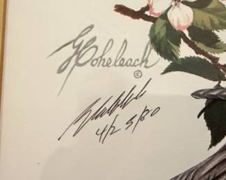 Guy Coheleach "Yellowhammer" Lithograph