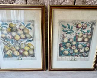 Set of Two "Twelve Months of Fruit" Botanical Engravings by Robert Furber