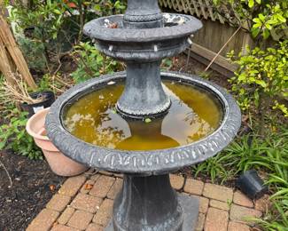 Bird Bath