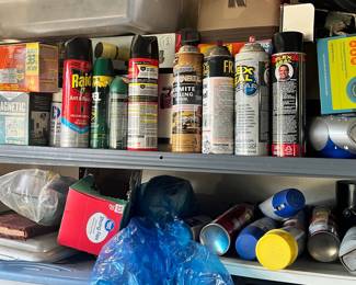 Assorted Aerosol Cans and Household Items