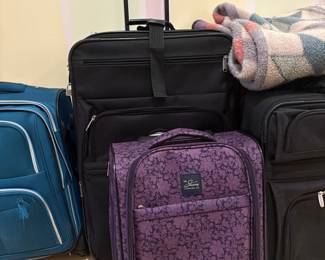 Skyway Luggage Co. Purple Floral Pattern Spinner Carry-On Suitcase