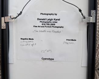 Donald Leigh Karel "The Woods are Flooded" Cyanotype Print