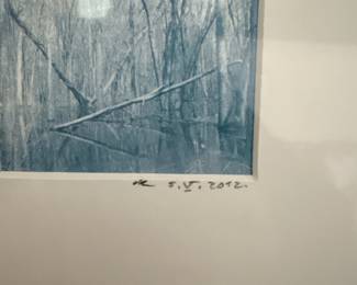 Framed Photograph of a Swampy Forest Scene