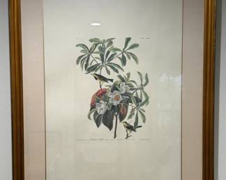 2nd Audubon print