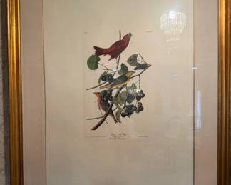 Audubon art
