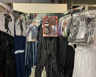 adult packaged halloween costumes