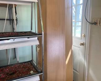 Tiered rolling plant grow-light stand—essential for any indoor gardener