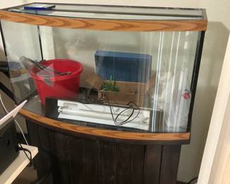 very clean aquarium complete