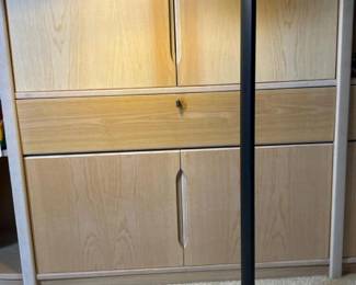 169 flexiblegooseneckfluorescentfloorlam