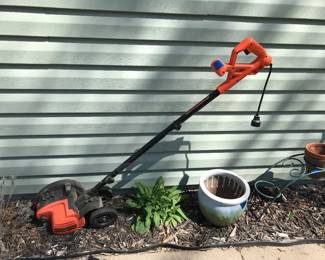 Electric Edger