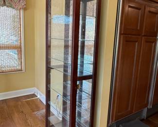 	#41	Lighted display cabinet "as is" needs key 24x12x76	$100 				