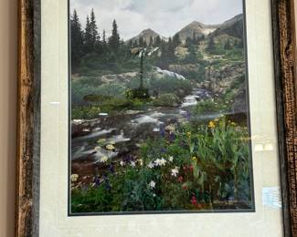 Gary Haines Photography Limited Edition