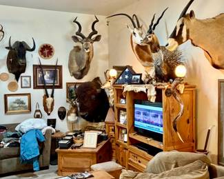 Please note, I’ll be updating this photo shortly. The family did pull the taxidermy porcupine last minute 